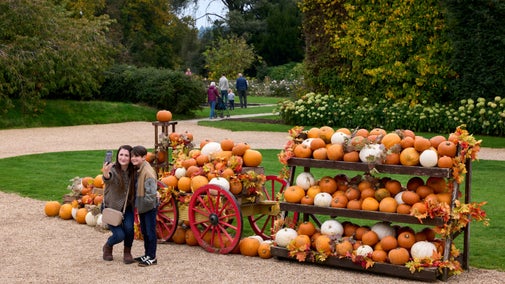 Mother and child in front of large display of pumpkins in cart and on shelves, with gravel path, grass and garden shrubs all around